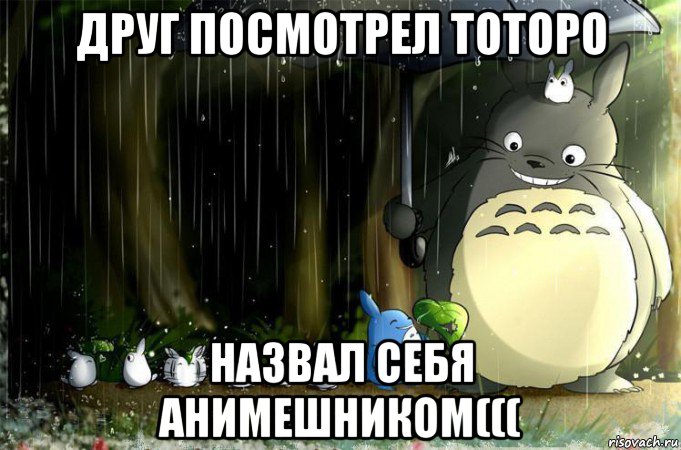 друг посмотрел тоторо назвал себя анимешником(((