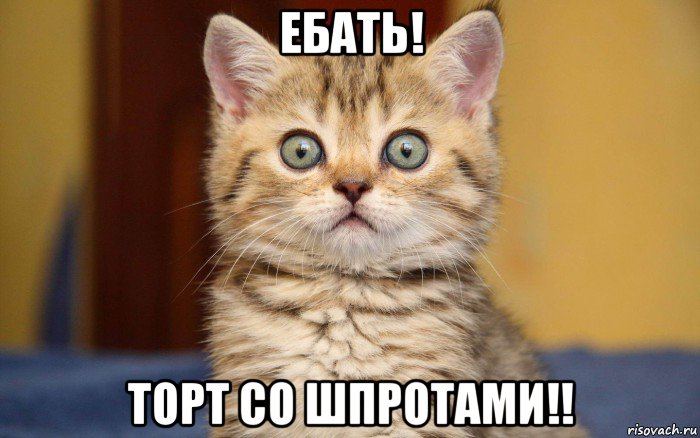 ебать! торт со шпротами!!, Мем  удивление