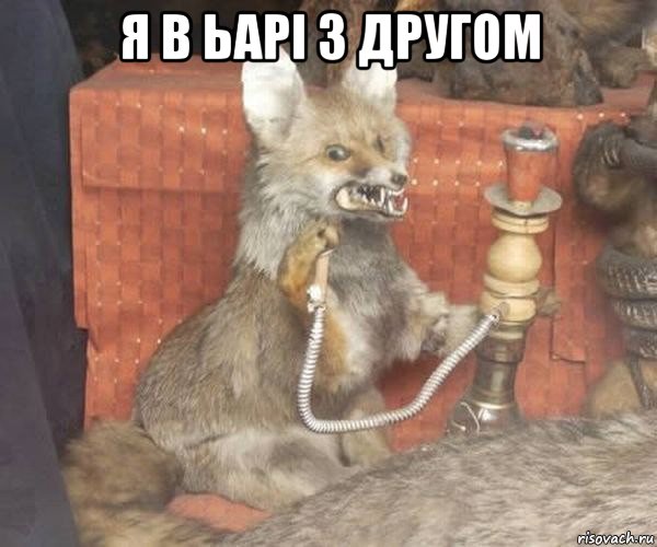 я в ьарі з другом 