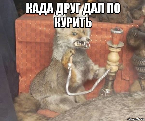 када друг дал по курить 