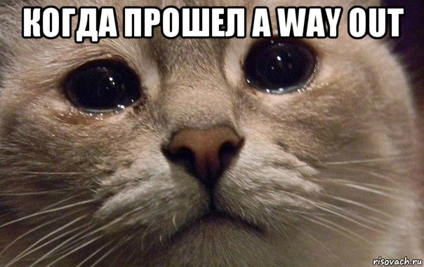 когда прошел a way out , Мем   В мире грустит один котик