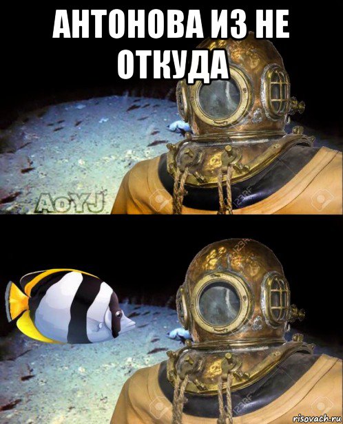 антонова из не откуда 