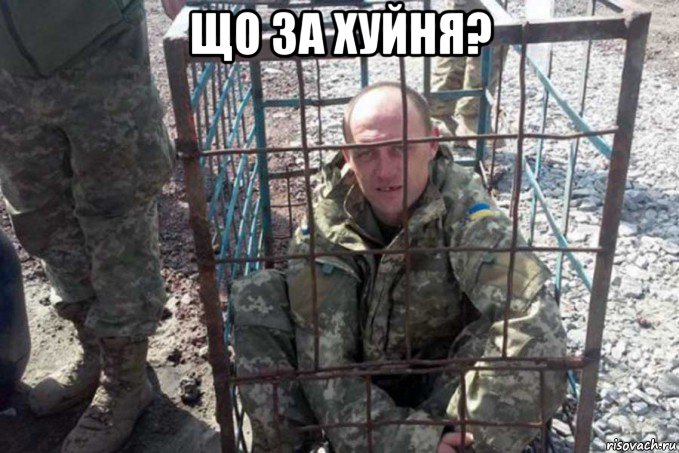 що за хуйня? 
