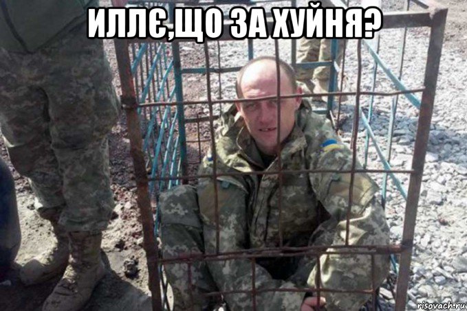 иллє,що за хуйня? 