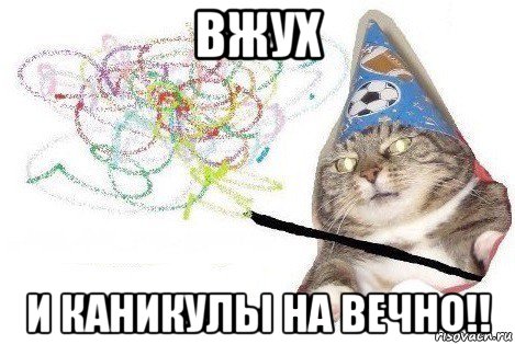 вжух и каникулы на вечно!!, Мем Вжух мем