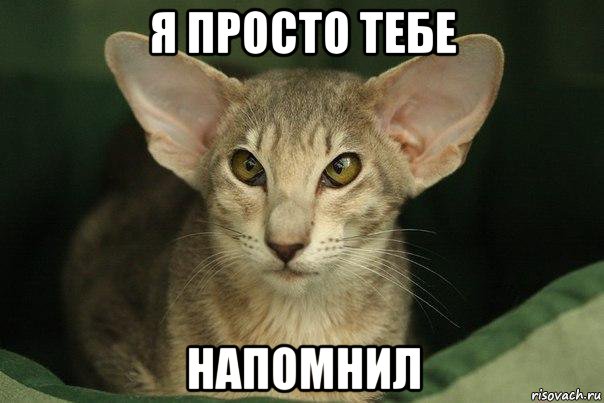 я просто тебе напомнил