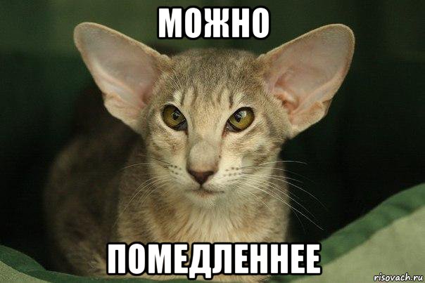 можно помедленнее