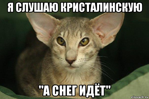 я слушаю кристалинскую "а снег идёт"