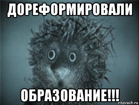 дореформировали образование!!!