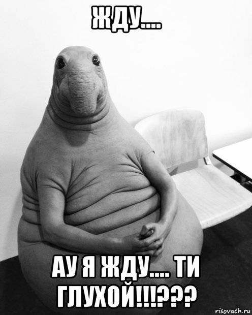 жду.... ау я жду.... ти глухой!!!???, Мем  Ждун