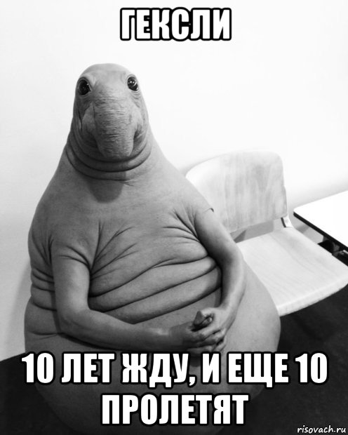 гексли 10 лет жду, и еще 10 пролетят, Мем  Ждун