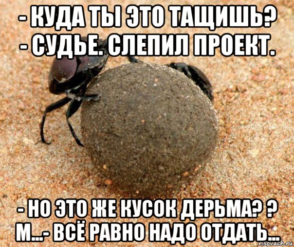 - куда ты это тащишь? - судье. слепил проект. - но это же кусок дерьма? ? м...- всё равно надо отдать...