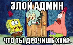 злой админ что ты дрочишь хуй?