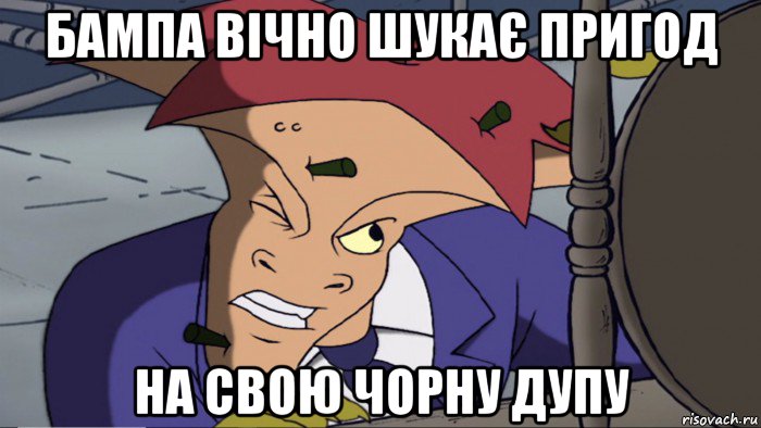 бампа вічно шукає пригод на свою чорну дупу