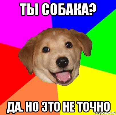 ты собака? да. но это не точно, Мем Advice Dog