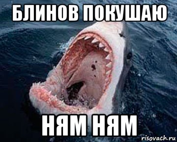 блинов покушаю ням ням, Мем Акула