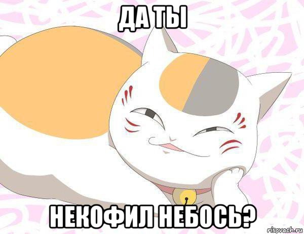 да ты некофил небось?