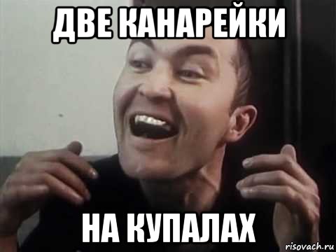 две канарейки на купалах