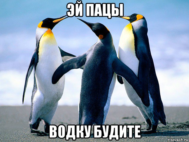 эй пацы водку будите