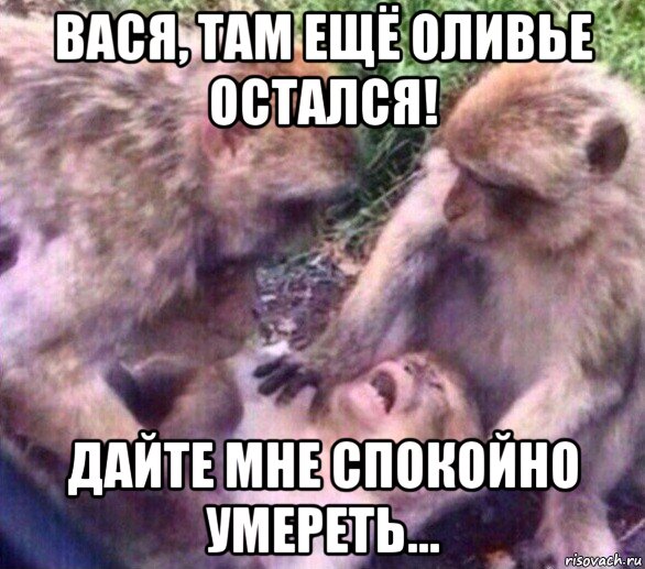 вася, там ещё оливье остался! дайте мне спокойно умереть...