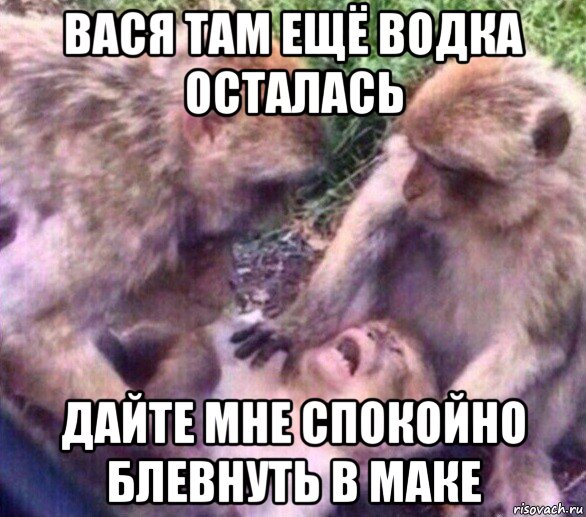 вася там ещё водка осталась дайте мне спокойно блевнуть в маке