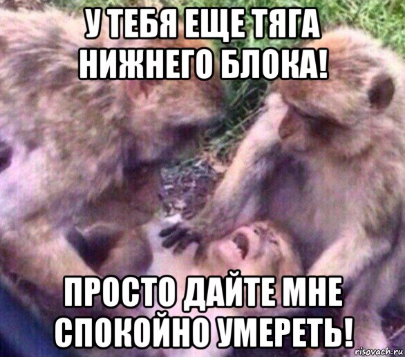 у тебя еще тяга нижнего блока! просто дайте мне спокойно умереть!