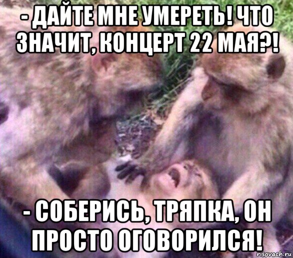 - дайте мне умереть! что значит, концерт 22 мая?! - соберись, тряпка, он просто оговорился!