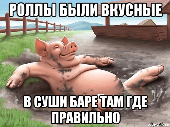 роллы были вкусные в суши баре там где правильно