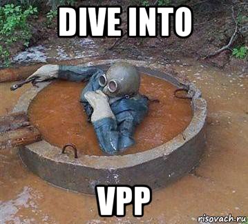 dive into vpp