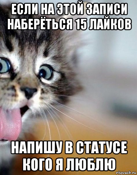 если на этой записи наберёться 15 лайков напишу в статусе кого я люблю
