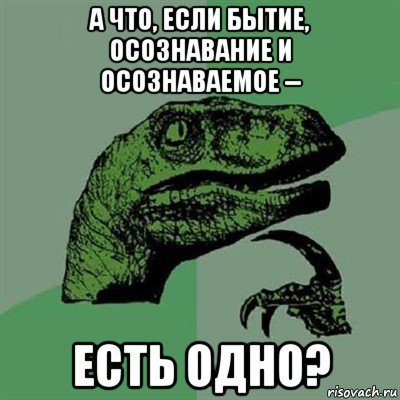 а что, если бытие, осознавание и осознаваемое -- есть одно?, Мем Филосораптор