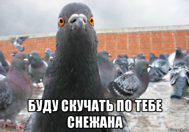  буду скучать по тебе снежана
