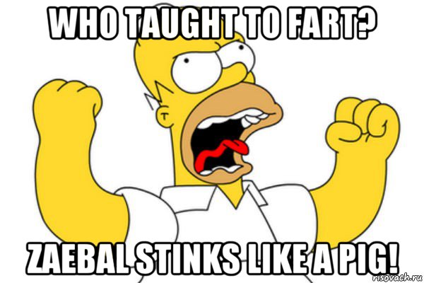 who taught to fart? zaebal stinks like a pig!