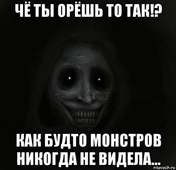 чё ты орёшь то так!? как будто монстров никогда не видела..., Мем Ночной гость