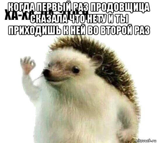 когда первый раз продовщица сказала что нету и ты приходишь к ней во второй раз , Мем Ха-ха да это я