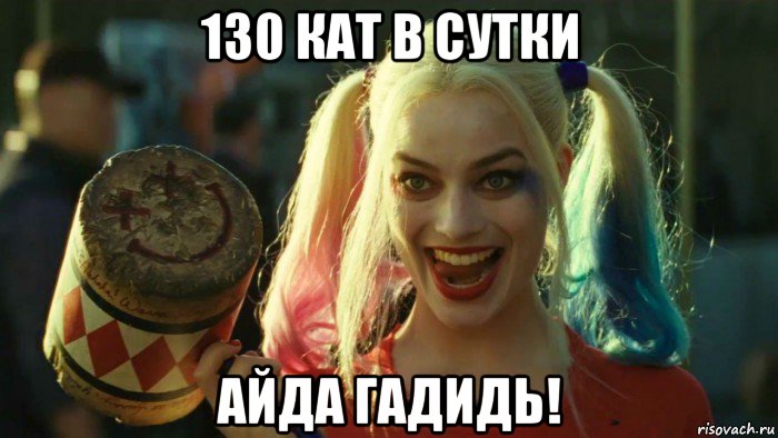 130 кат в сутки айда гадидь!, Мем    Harley quinn