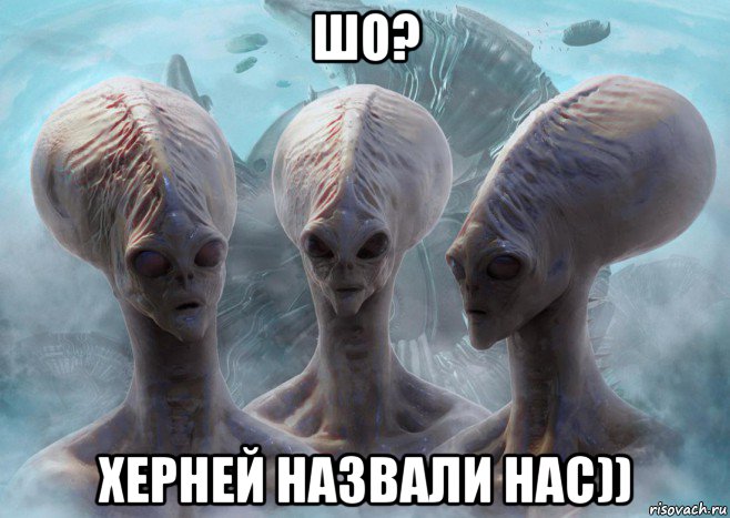 шо? херней назвали нас))