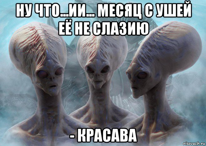 ну что...ии... месяц с ушей её не слазию - красава