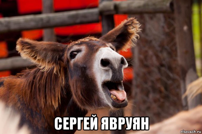 сергей явруян