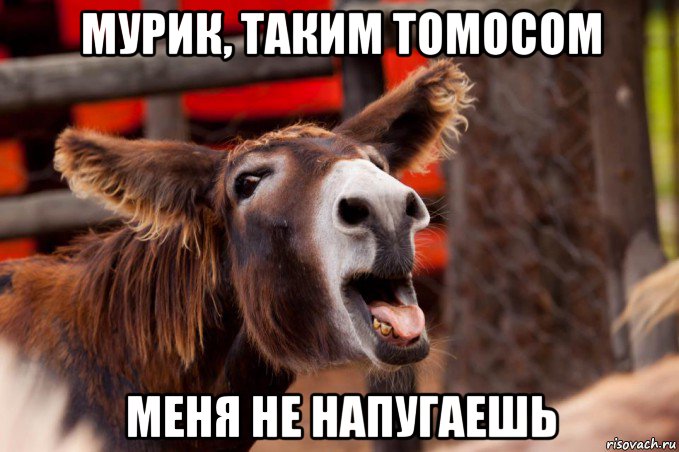 мурик, таким томосом меня не напугаешь