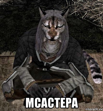  мсастера, Мем Каджит