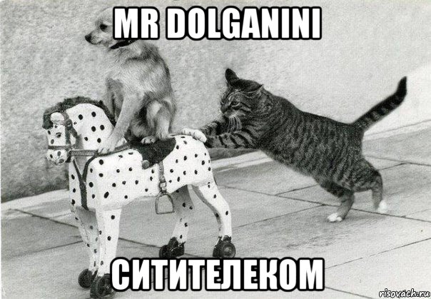 mr dolganini ситителеком