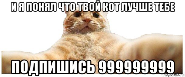 и я понял что твой кот лучше тебе подпишись 999999999