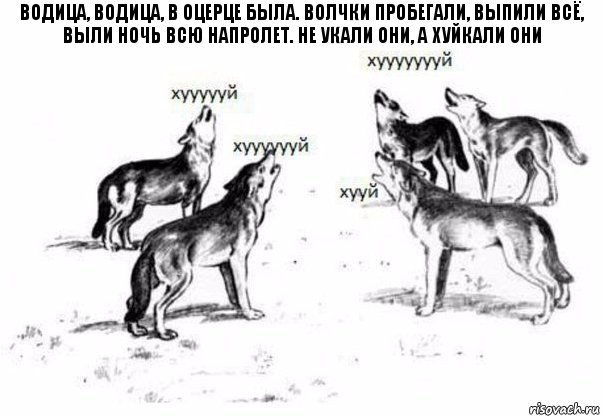 Водица, водица, в оцерце была. Волчки пробегали, выпили всё, выли ночь всю напролет. Не укали они, а хуйкали они, Комикс Когда хочешь