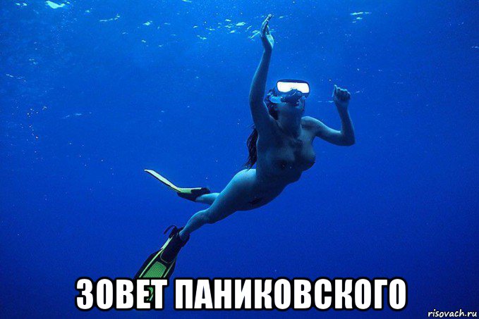  зовет паниковского