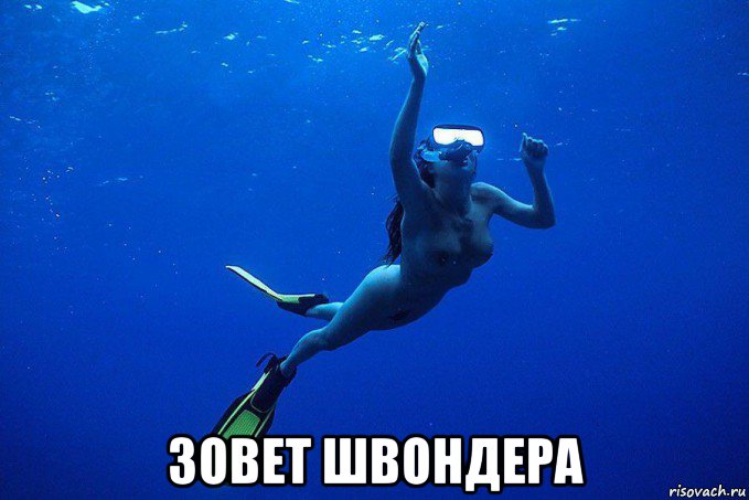  зовет швондера