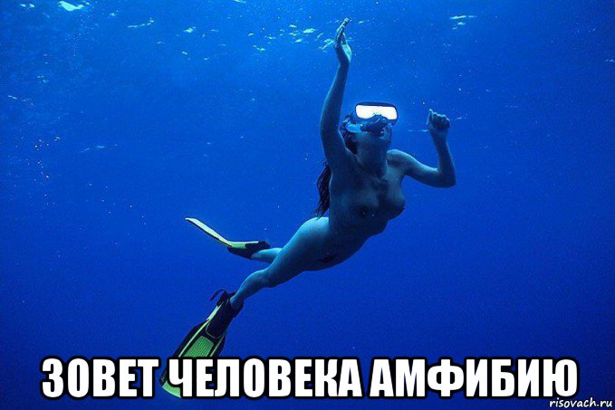 зовет человека амфибию