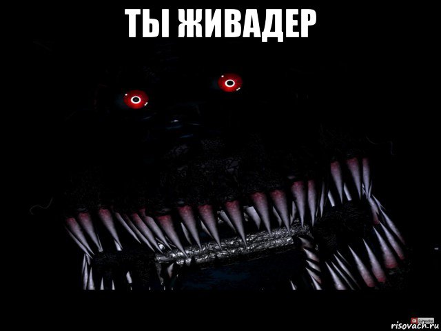 ты живадер 