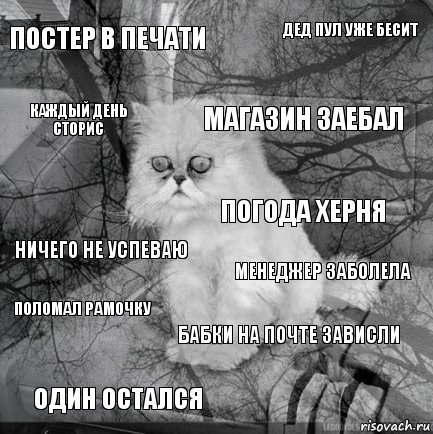 Постер в печати Менеджер заболела Магазин заебал Один остался Ничего не успеваю Дед пул уже бесит Бабки на почте зависли Каждый день сторис Поломал рамочку Погода херня, Комикс  кот безысходность