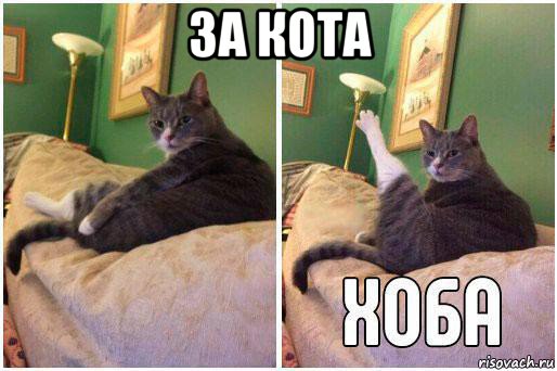 за кота , Комикс Кот Хоба